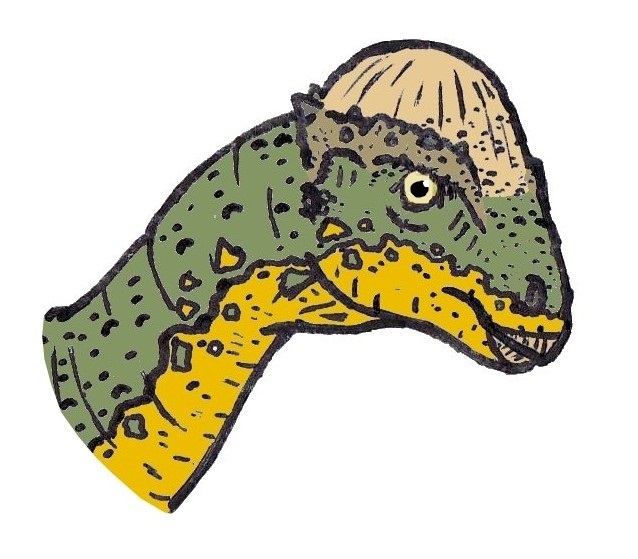 Stegoceras was a late cretaceous pachycephalosaur dinosaur from North America.