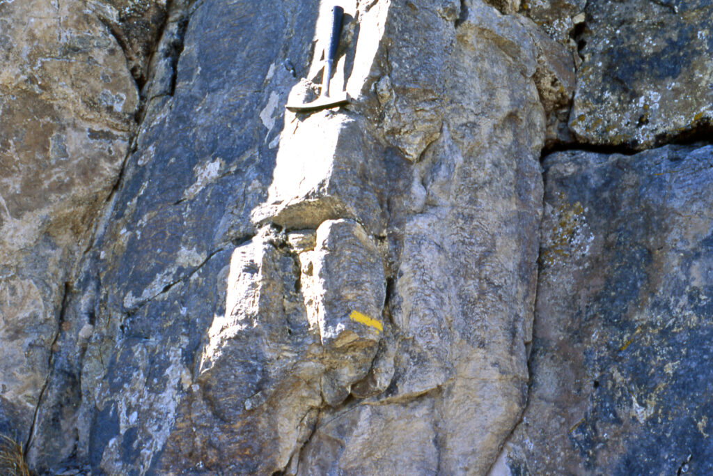 Rock face with an old climbing piton hammered into a crack. The surface has weathered gray and brown tones, with a yellow trail marker below.