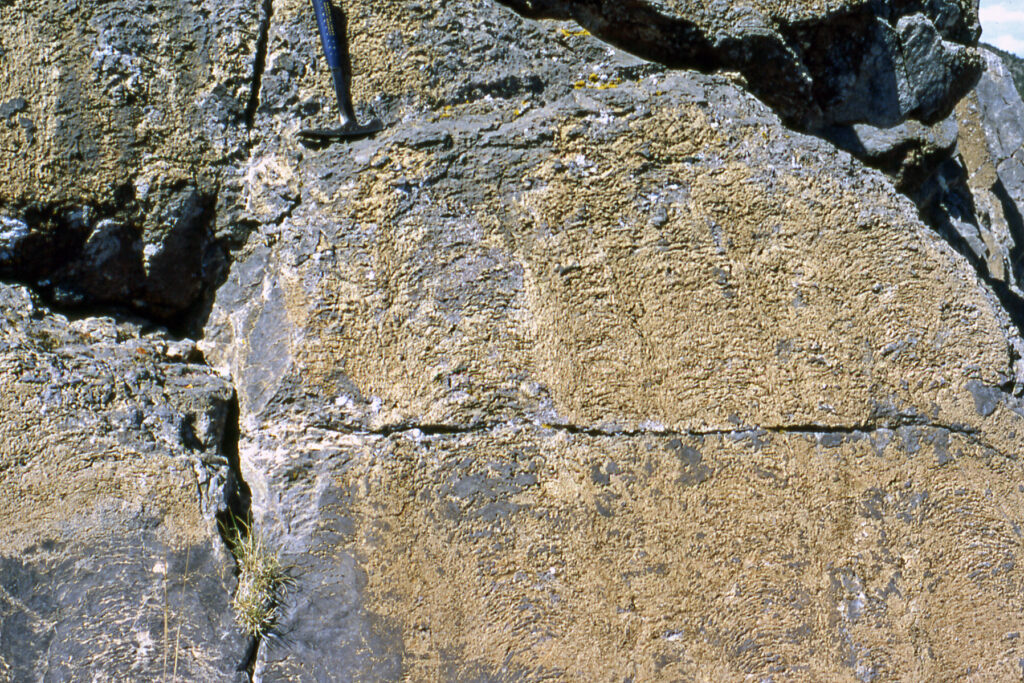 Close-up of a textured rock face with horizontal and vertical cracks. A small patch of grass grows in a crevice, and a blue hammer rests on the surface.