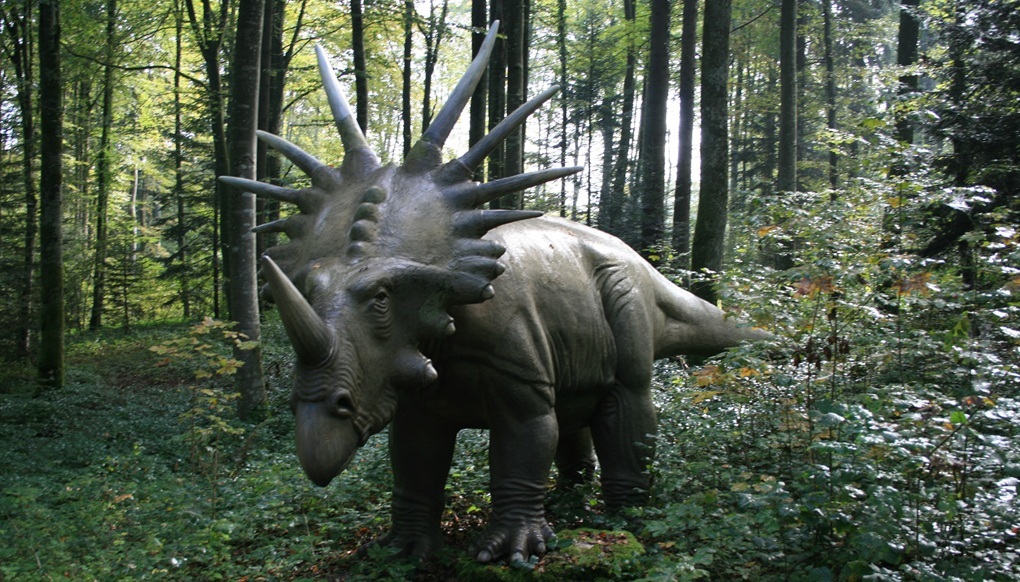 Styracosaurus Dinosaur