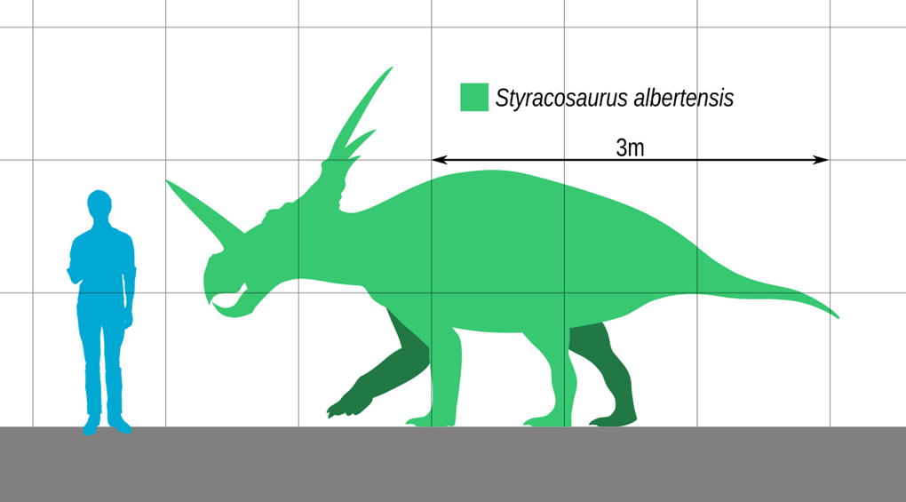 Styracosaurus Growth and Development