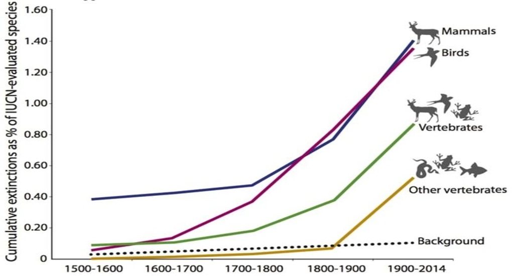The Sixth Mass Extinction