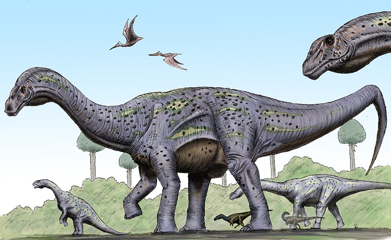 The Titanosaur