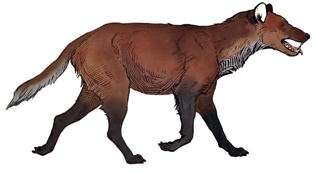 Illustration of a brown, prehistoric wolf, showing a streamlined body and snarling expression. The tone is fierce and primal.