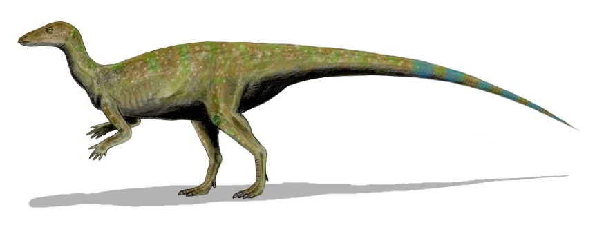 Illustration of a small dinosaur, Thescelosaurus, standing on two legs. It has a slender body, greenish-brown skin, long tail, and a pointed snout.