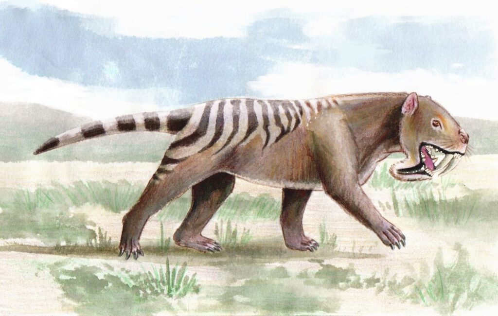 Illustration of a saber-toothed creature with a striped back and long tail walking on grassy terrain. It has large fangs and an open mouth.