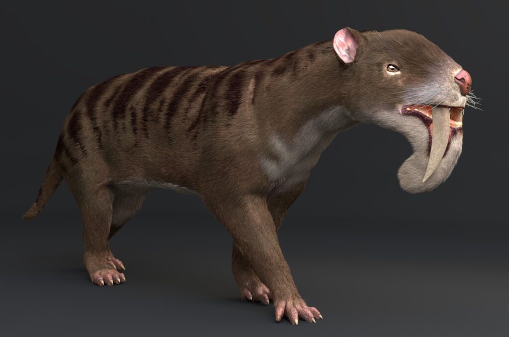 3D rendering of a saber-toothed mammal, Thylacosmilus, with a brown fur coat, dark stripes, and prominent saber-like teeth, set against a dark background.