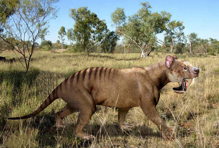 A saber-toothed creature with a striped back walks through a grassy landscape. Trees in the background under a clear blue sky create a prehistoric atmosphere.