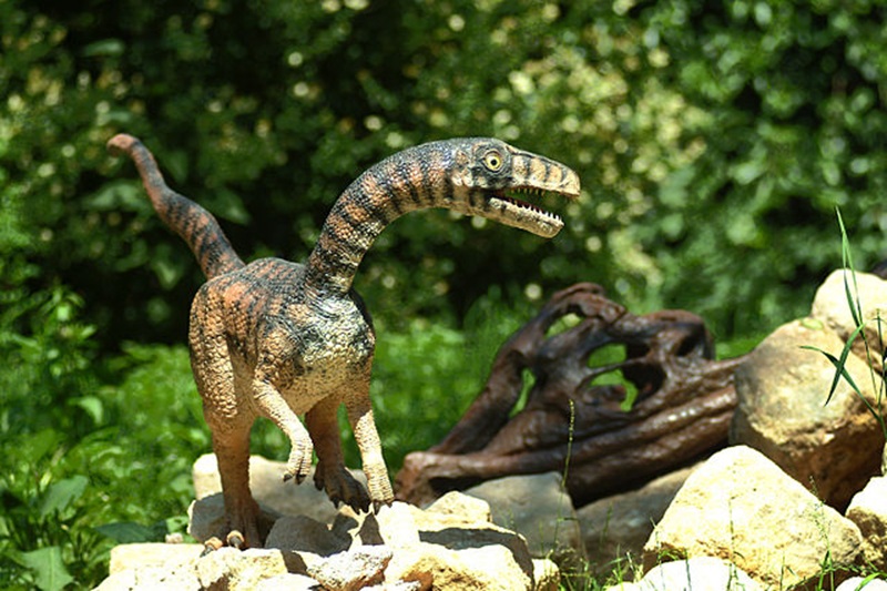 Compsognathus vs. Microraptor