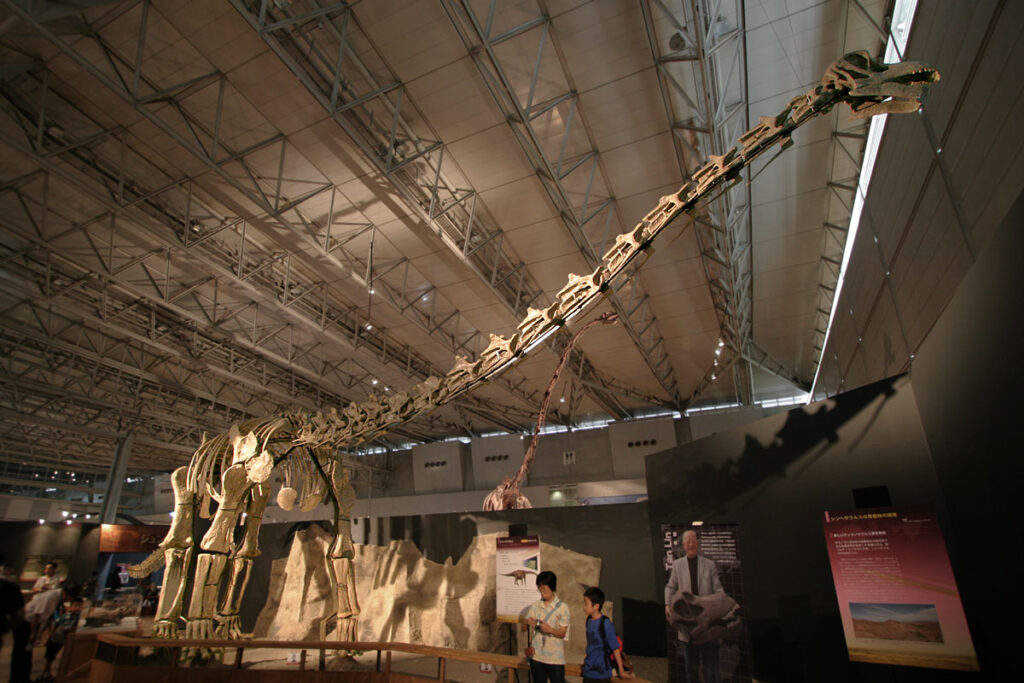 A large dinosaur skeleton exhibit in a museum with a long neck reaching upwards. Two people observe the display. The setting is bright and expansive.