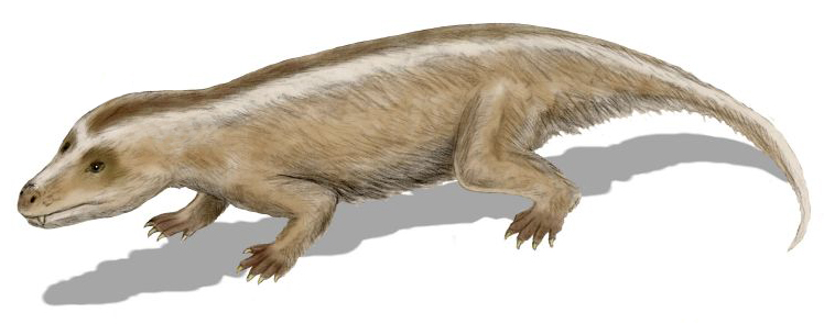 Illustration of a prehistoric creature resembling a bulky, furry lizard with a white stripe along its back. It has clawed feet and a shadow underneath.