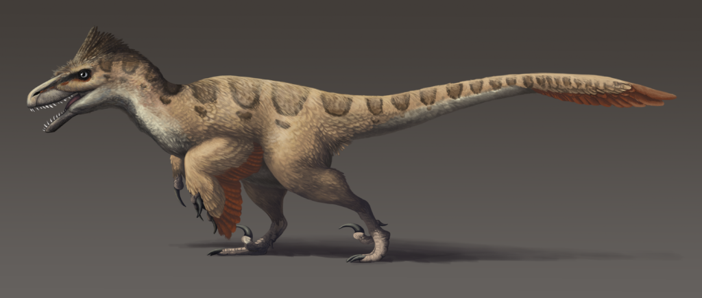 Illustration of a Utahraptor with a feathered body and open mouth, displaying sharp teeth and claws. Its expressive eyes and poised stance convey alertness.
