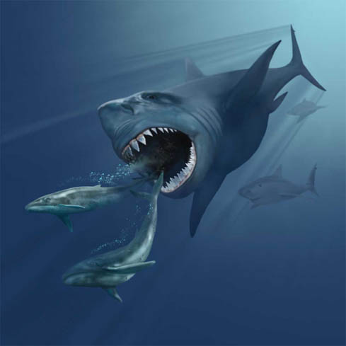 A colossal shark with wide open jaws swims underwater, chasing smaller fish. Sunlight filters through the water, creating an intense, predatory scene.