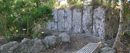 A stone bench sits near a rugged stone wall surrounded by lush greenery. Dappled sunlight filters through the leaves, creating a serene, natural scene.