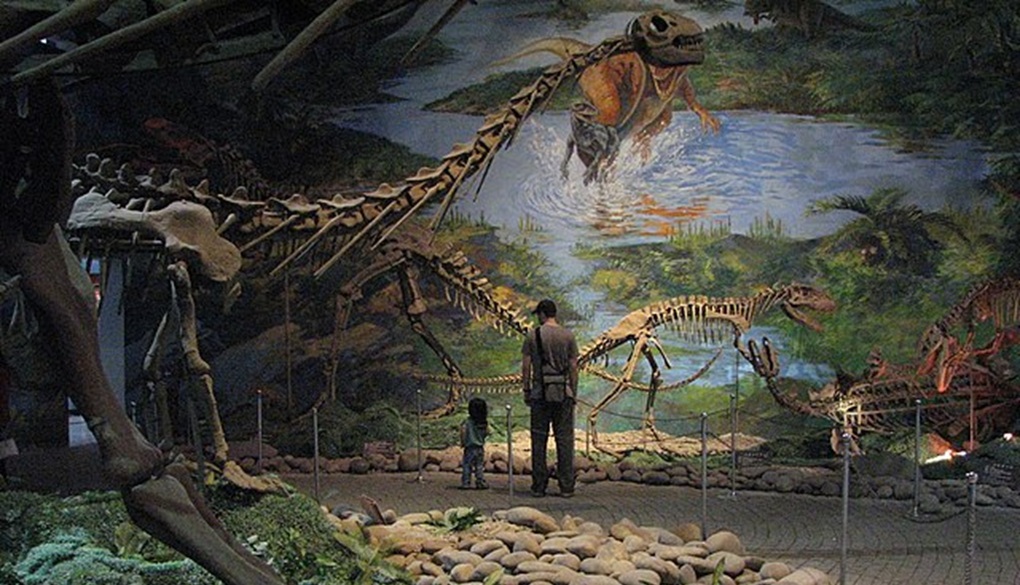 Zigong Dinosaur Museum - Sichuan Province