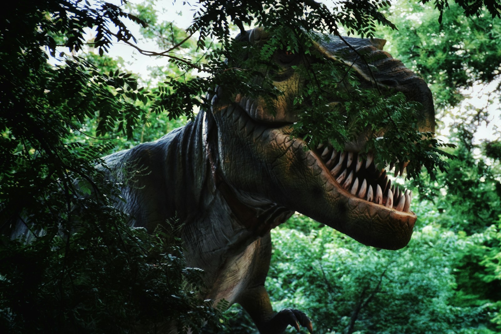 A tyrannosaurus rex lurks within lush foliage