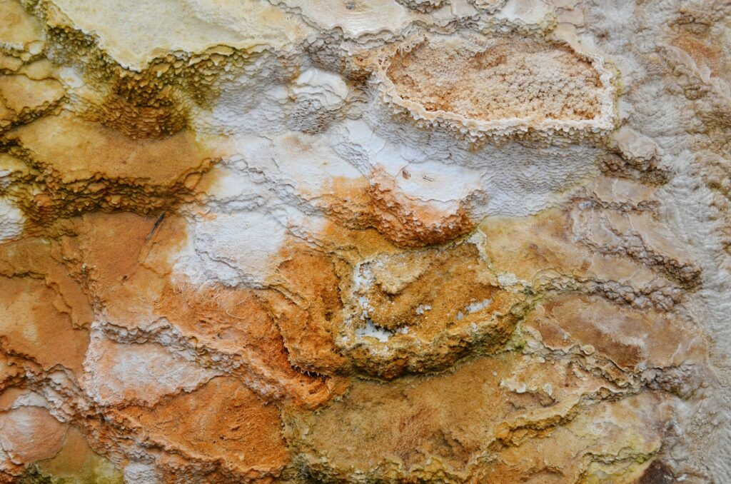 Mineral Wealth