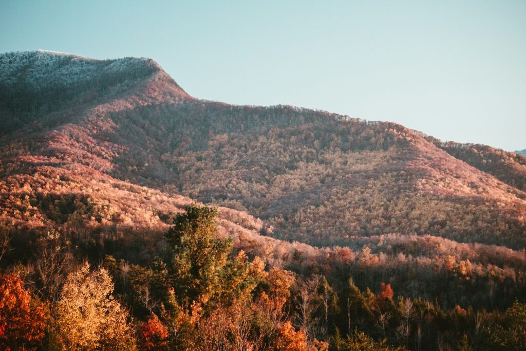 The Appalachians