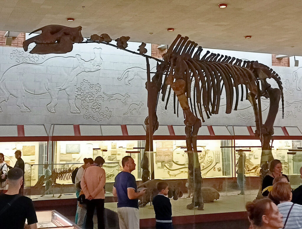 A large prehistoric mammal skeleton is displayed in a museum, with people observing. The background features fossil exhibits and animal wall engravings.