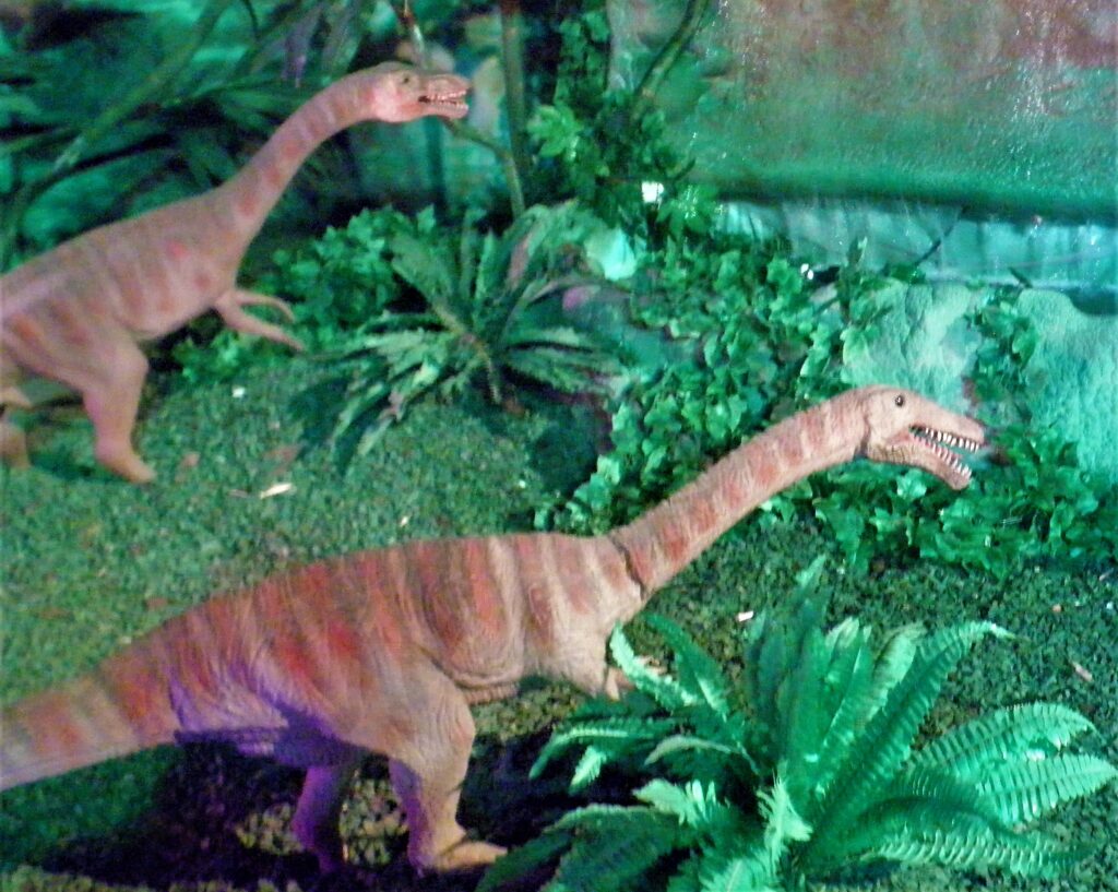 Two model dinosaurs with long necks and tails stand among lush green plants and ferns in a prehistoric jungle setting, emitting a sense of curiosity.