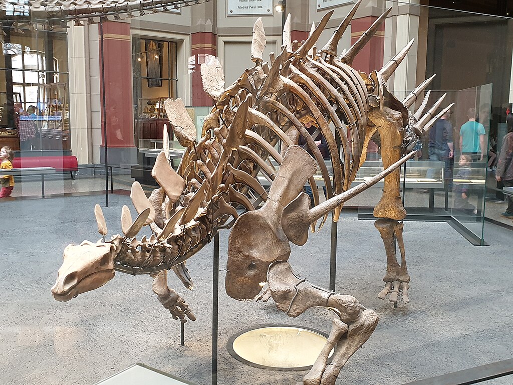 Kentrosaurus; Museum of Natural History, Berlin