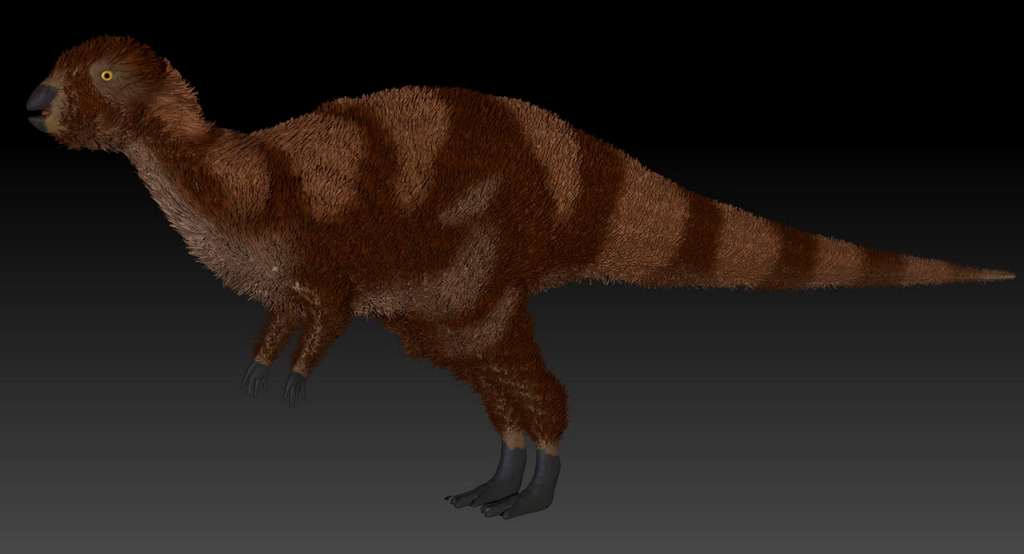 Convolosaurus marri