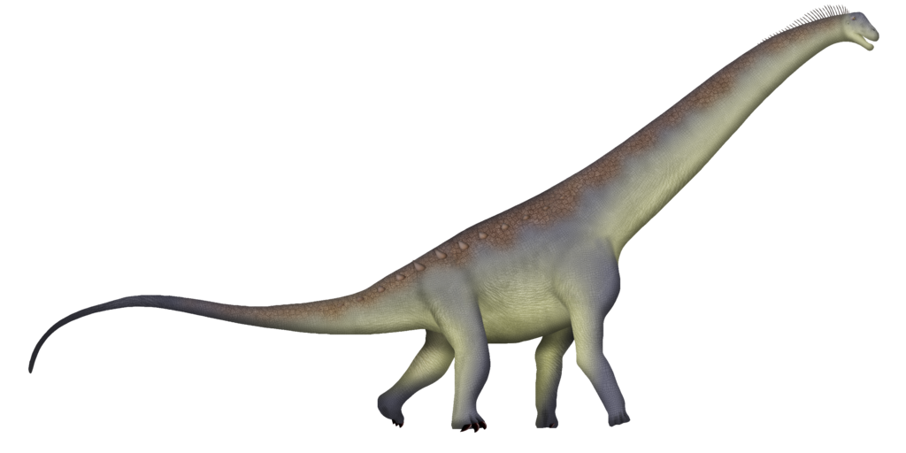 Alamosaurus