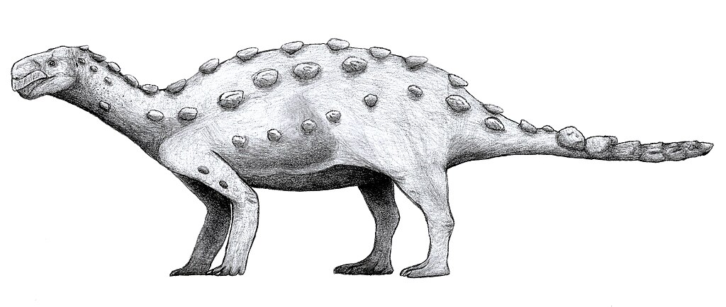 Life restoration of Antarctopelta oliveroi