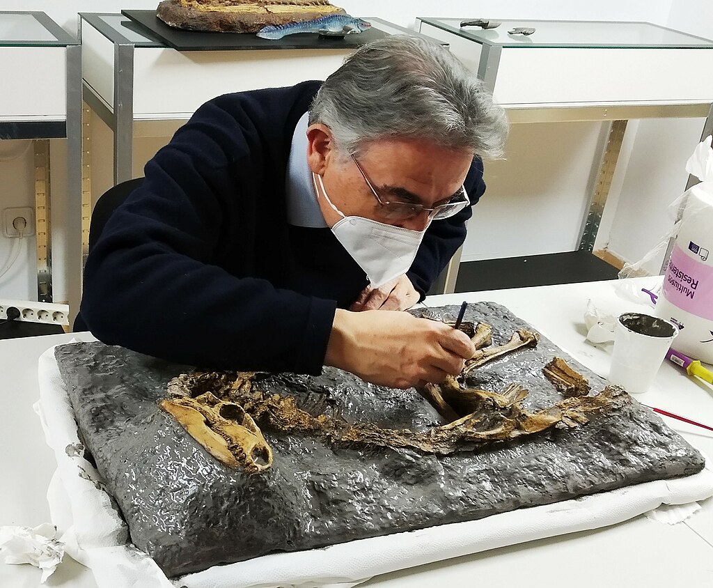 paleontologist