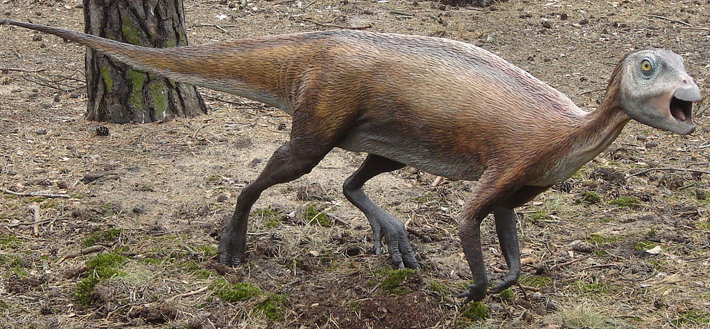 Atlascopcosaurus loadsi