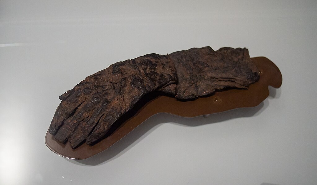 A preserved human hand with dark, leathery skin, displayed on a sculpted base. The texture is wrinkled and aged, evoking a mysterious, ancient feel.