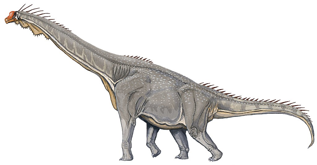 Illustration of a large dinosaur with a long neck and tail, covered in gray scales. It stands on four legs, displaying a majestic and powerful stance.
