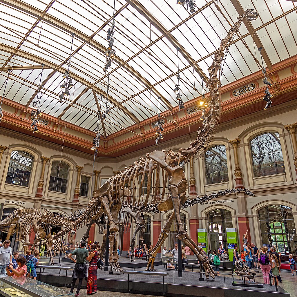 Brachiosaurus brancai, fossil skeleton at the Museum für Naturkunde, Berlin.