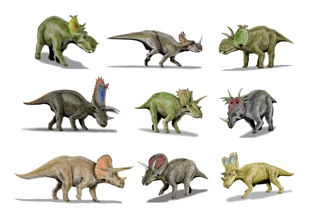 Ceratopsidae
