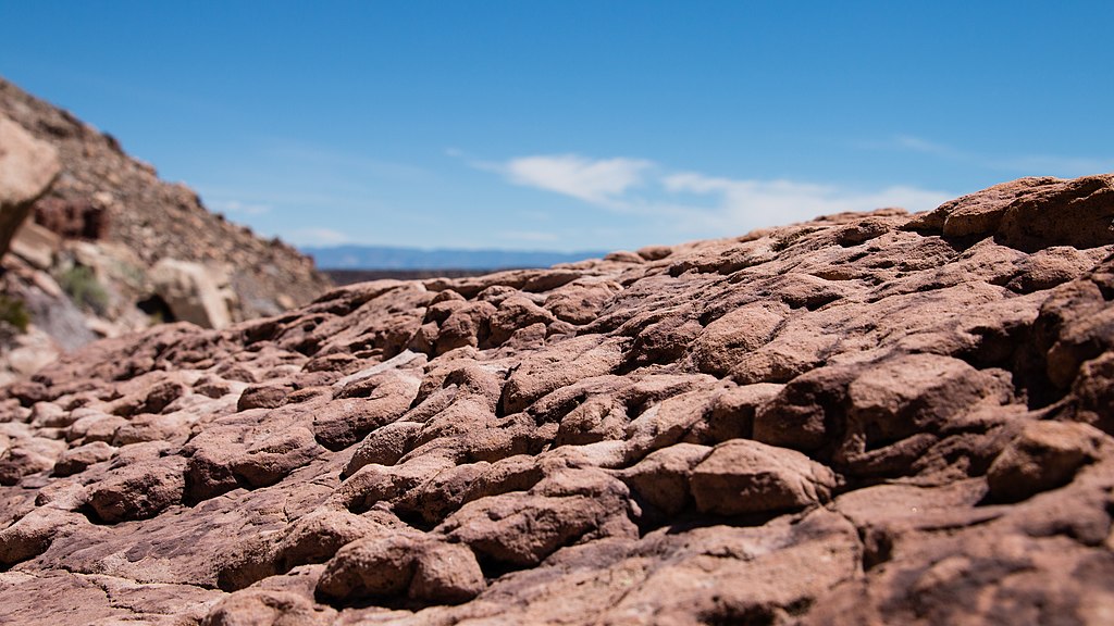Cleveland-Lloyd Dinosaur Quarry, Utah