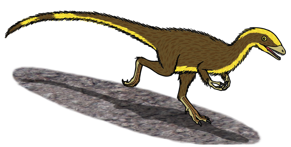 Drawing of the theropod dinosaur Compsognathus (Late Jurassic, Germany).