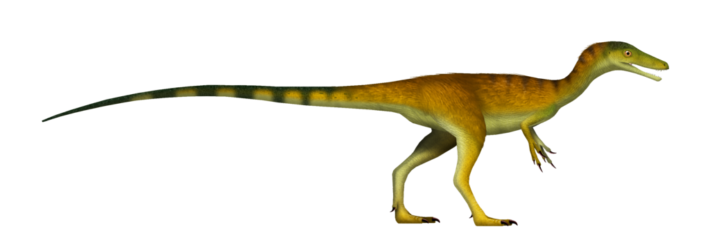 Compsognathus