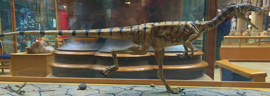 Compsognathus