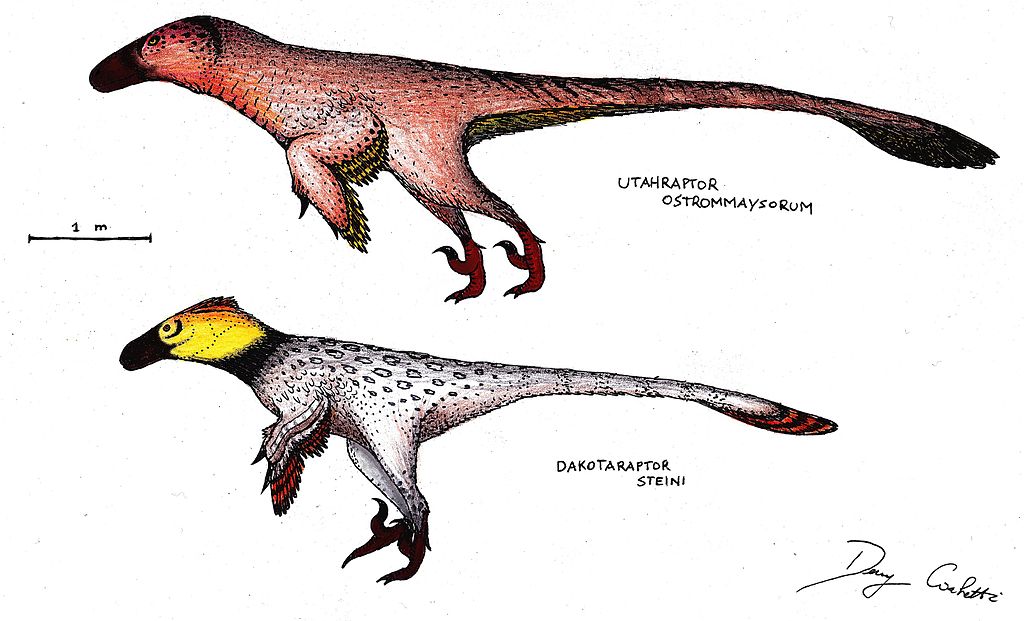 Dakotaraptor and Utahraptor