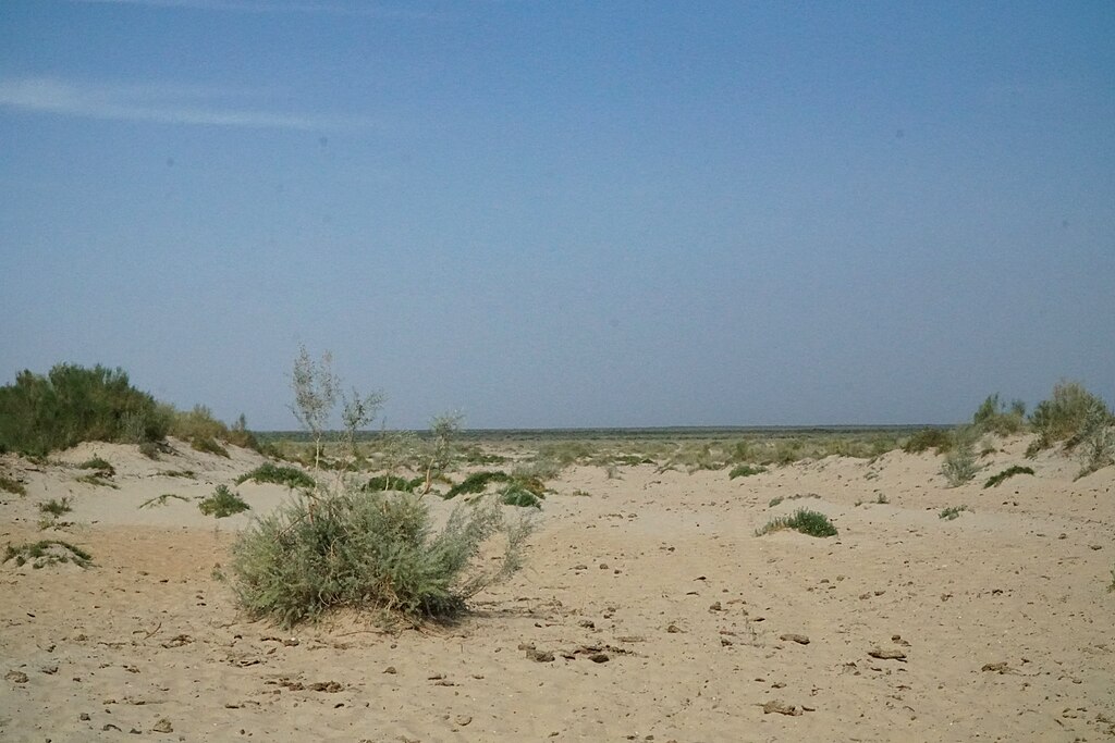Desert instead of Aral Sea, Mo‘ynoq