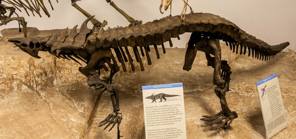 Desmatosuchus