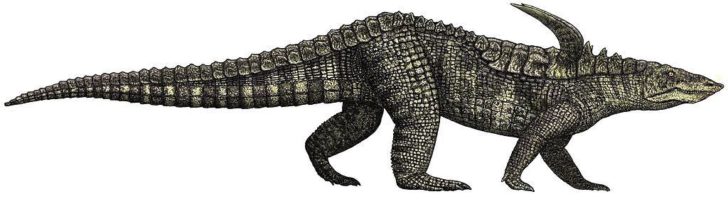 Desmatosuchus