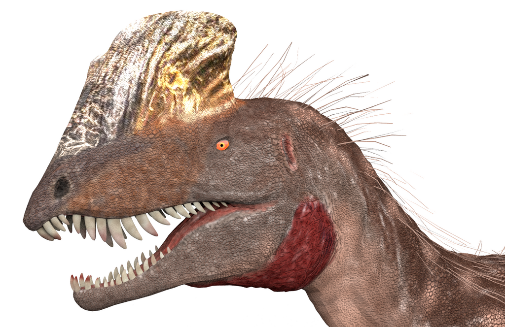 Dilophosaurus