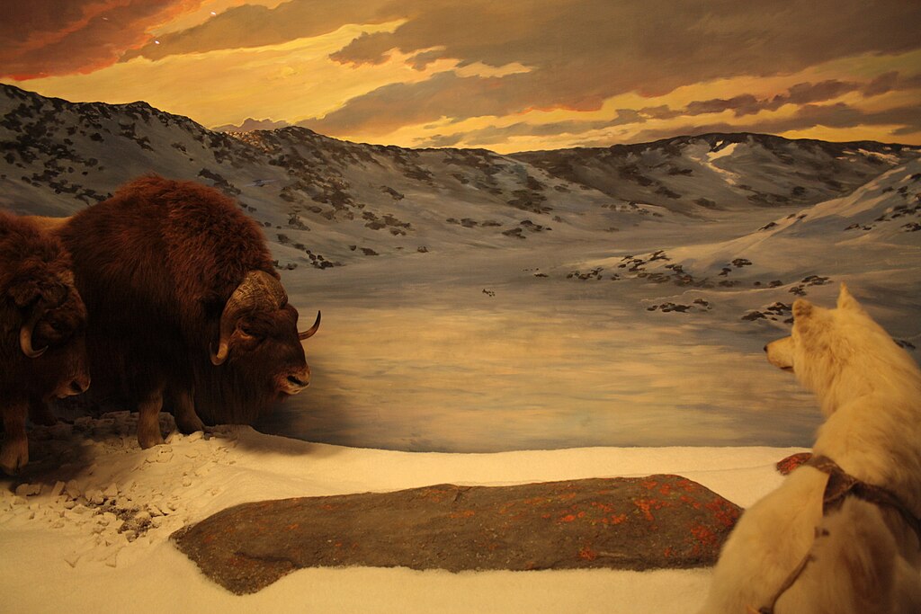 Diorama of a polar scene