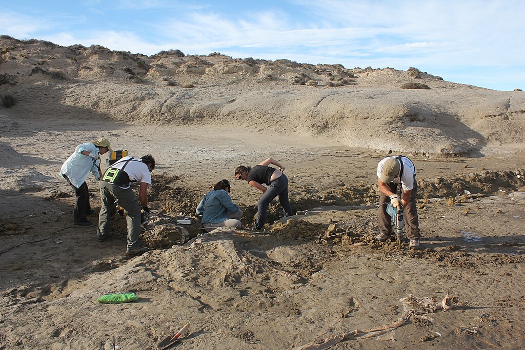 Paleontological fieldwork