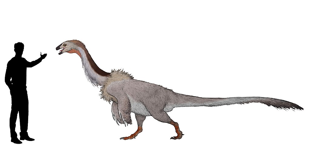 Falcarius reconstruction