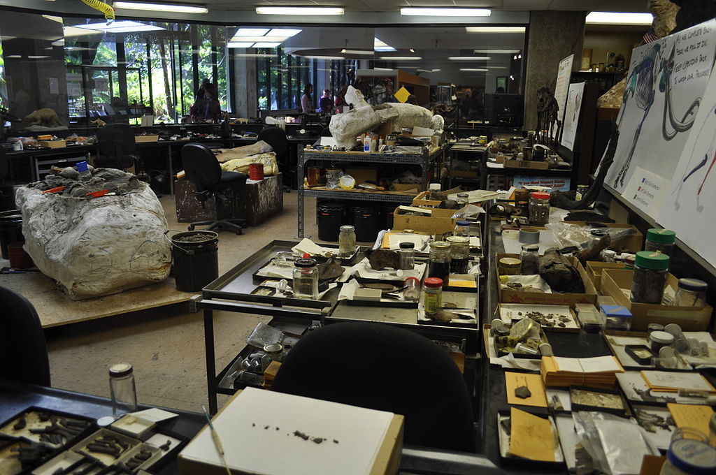 George C. Page Museum Paleontology Lab