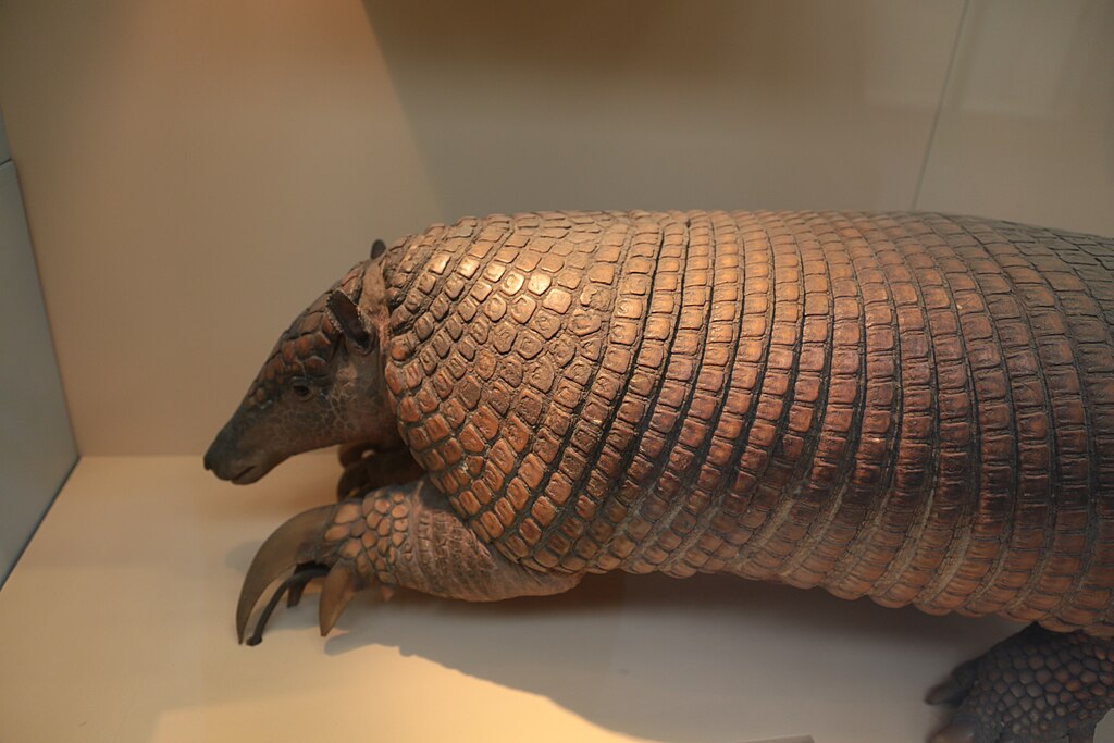 A close-up view of a detailed armadillo sculpture, showcasing its textured, scale-like armor. The neutral tones and lighting create a realistic look.