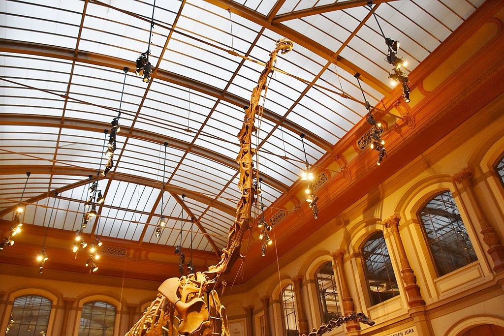 Tall dinosaur skeleton under an arched glass ceiling in a museum, with warm lighting and detailed architectural elements, creating an awe-inspiring atmosphere.