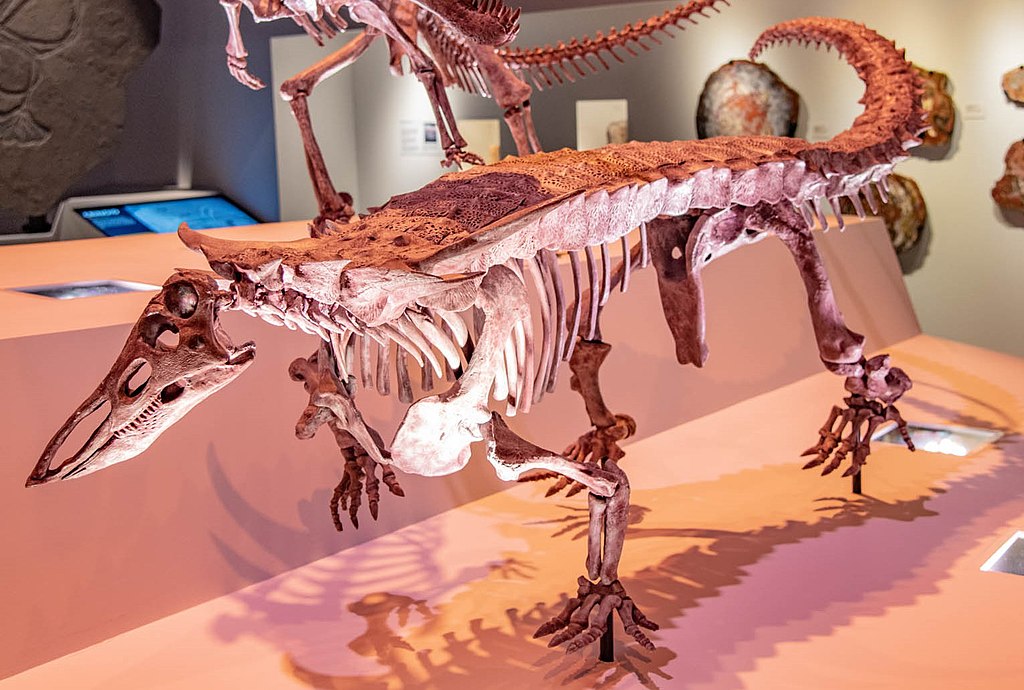 Desmatosuchus